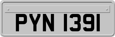 PYN1391