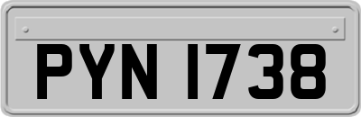 PYN1738