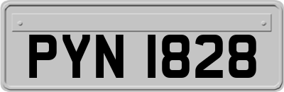 PYN1828