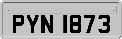 PYN1873