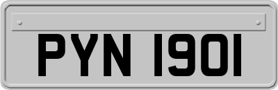 PYN1901