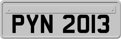 PYN2013