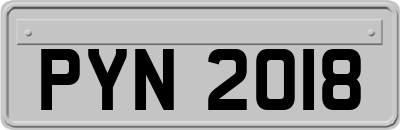 PYN2018