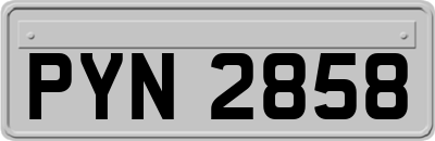 PYN2858