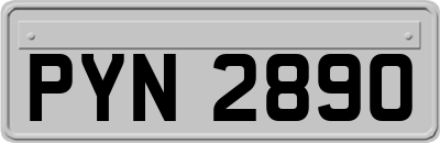 PYN2890