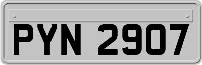 PYN2907