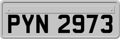 PYN2973