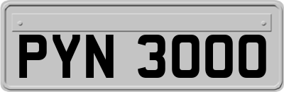 PYN3000