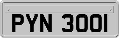 PYN3001