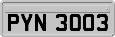 PYN3003