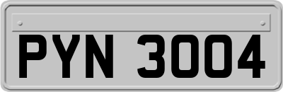 PYN3004