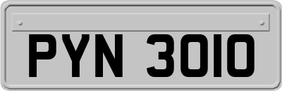 PYN3010