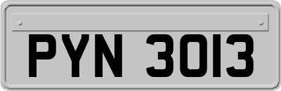 PYN3013