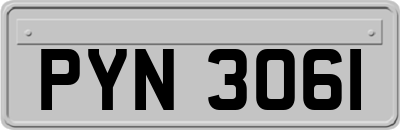 PYN3061