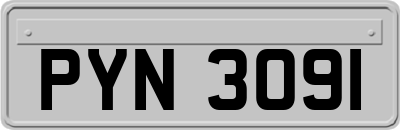 PYN3091