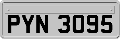 PYN3095