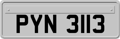 PYN3113