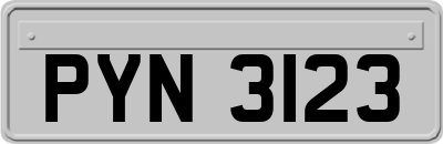 PYN3123