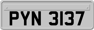 PYN3137