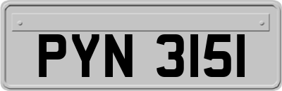 PYN3151