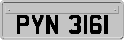 PYN3161