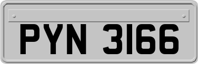 PYN3166