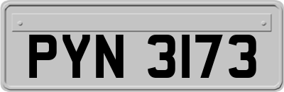 PYN3173