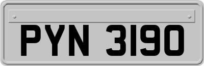 PYN3190