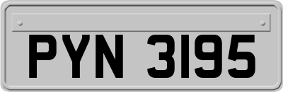 PYN3195