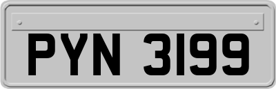 PYN3199