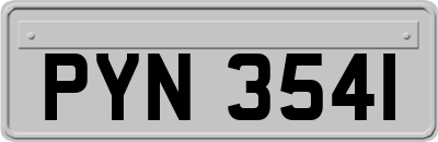 PYN3541