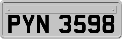 PYN3598