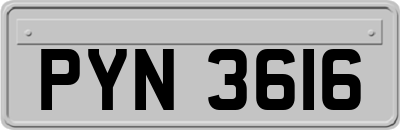 PYN3616