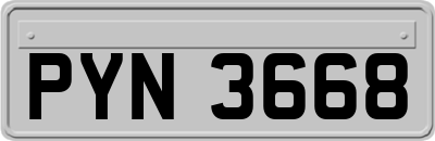 PYN3668