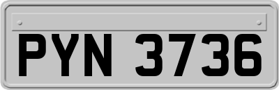 PYN3736