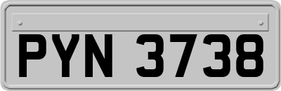 PYN3738