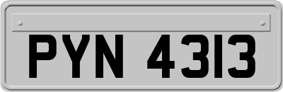 PYN4313