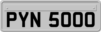 PYN5000