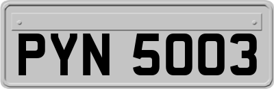 PYN5003