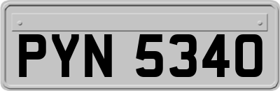 PYN5340