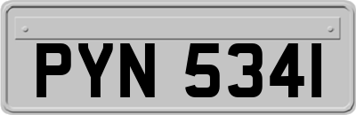 PYN5341