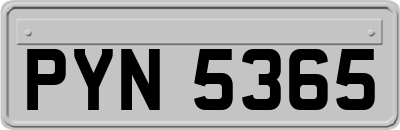 PYN5365