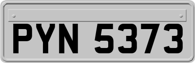 PYN5373