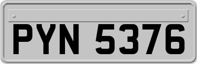 PYN5376