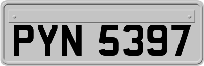 PYN5397