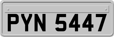 PYN5447