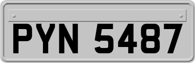 PYN5487