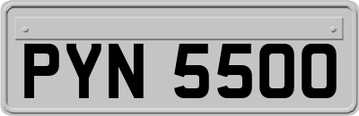 PYN5500