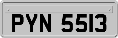 PYN5513