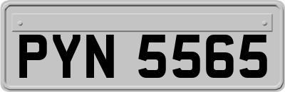 PYN5565